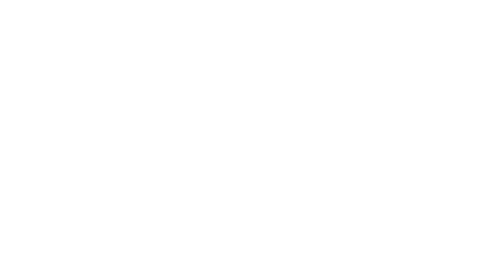 Brianje Management